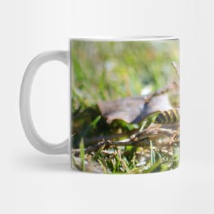 Wasp 1 Mug